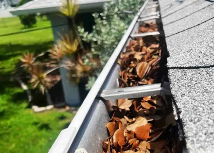 Gutter Cleaning Selma TX home page