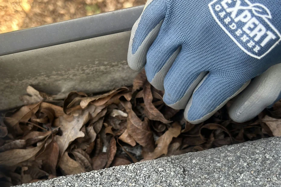 Selma Gutter Cleaning