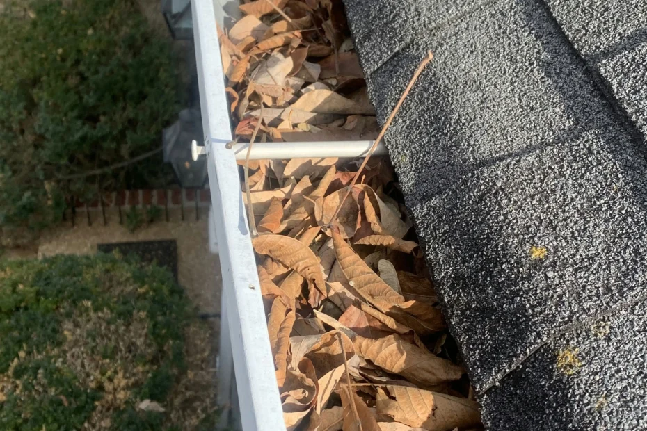Selma Gutter Cleaning