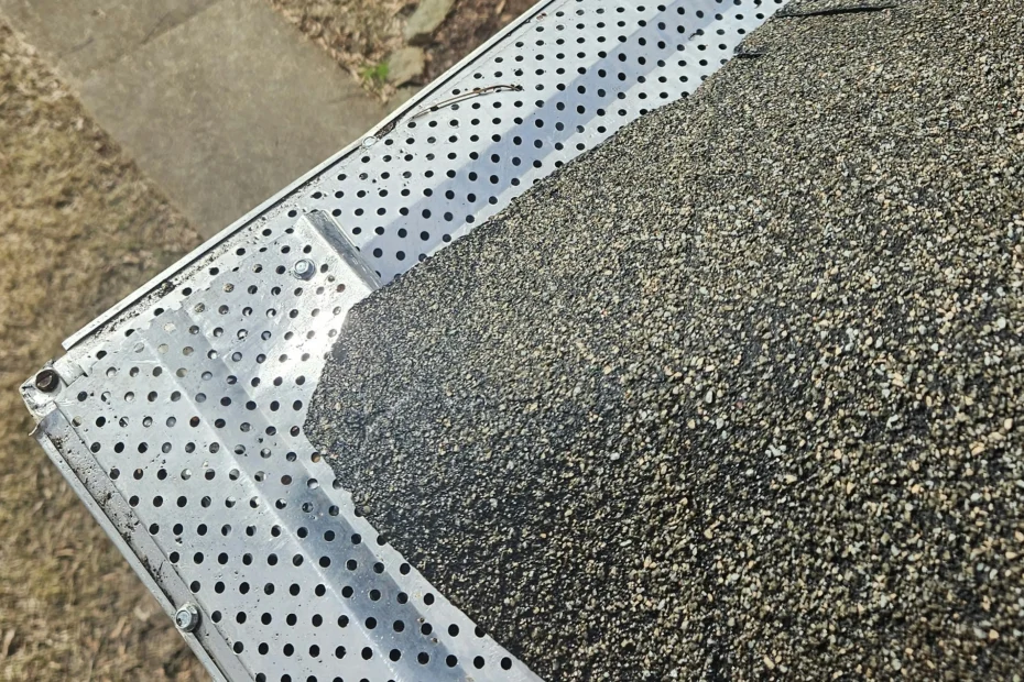 Selma Gutter Cleaning