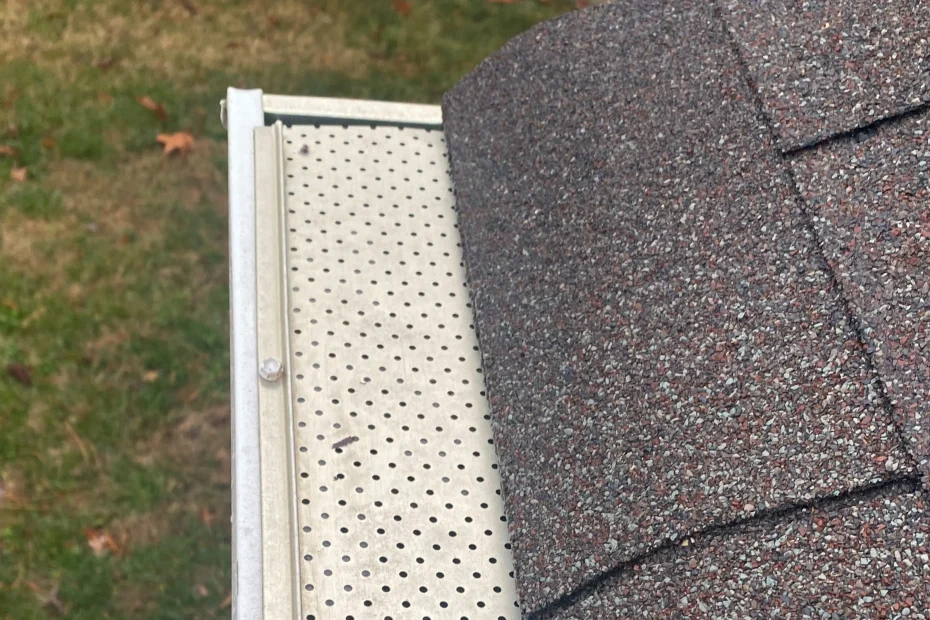 Selma Gutter Cleaning